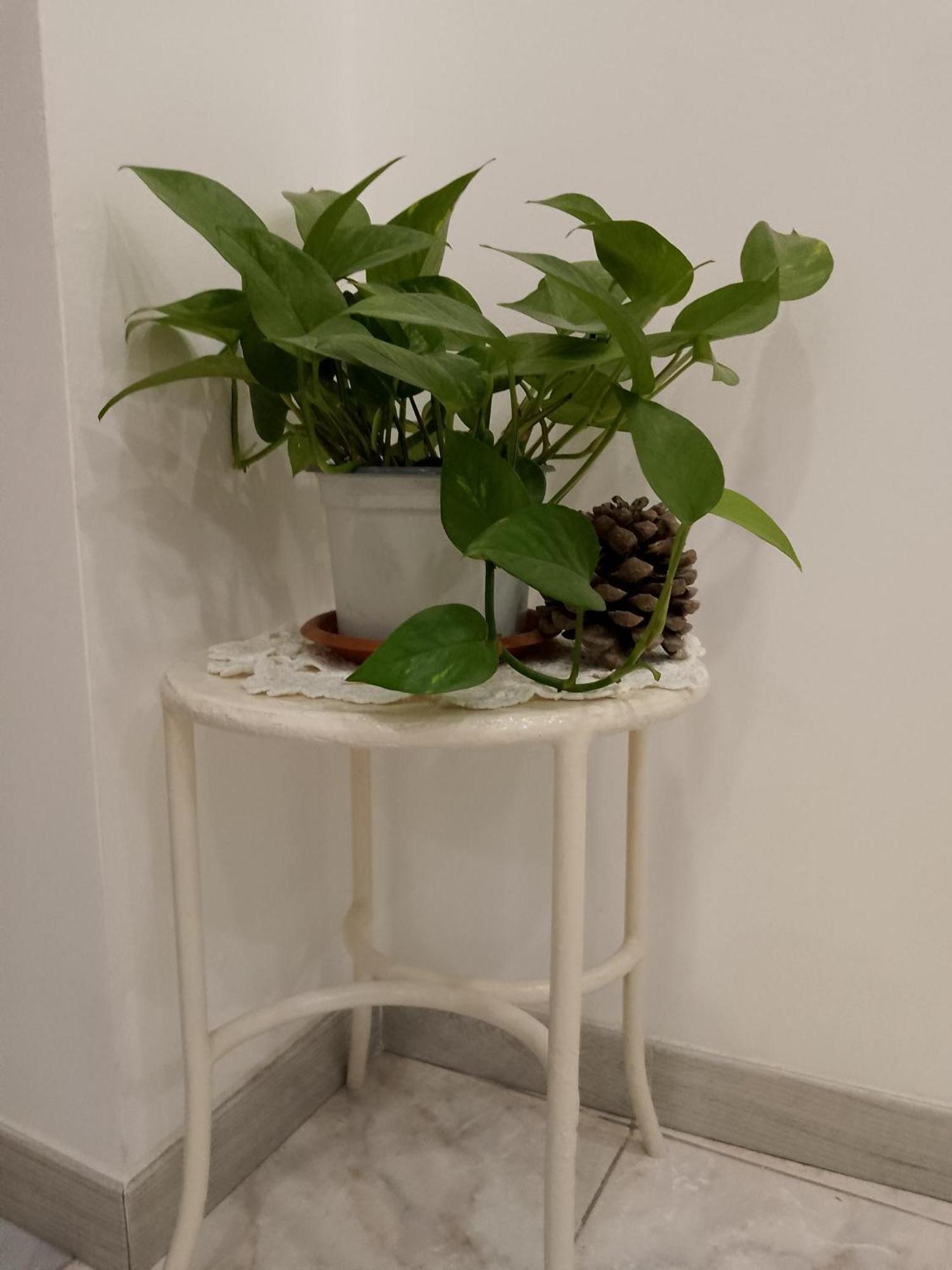 Le Casette Di Nonna Rosa In Fontanarossa Catania Airport Kültér fotó