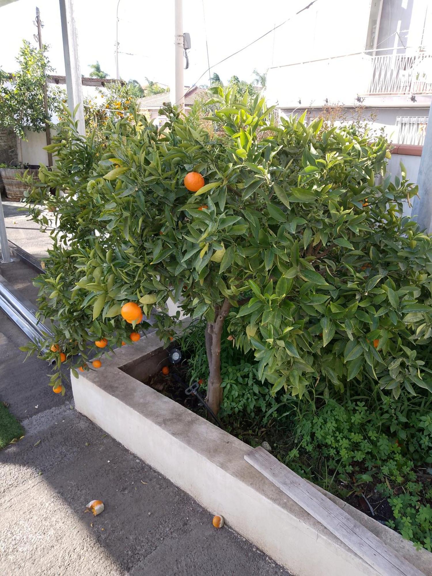 Le Casette Di Nonna Rosa In Fontanarossa Catania Airport Kültér fotó